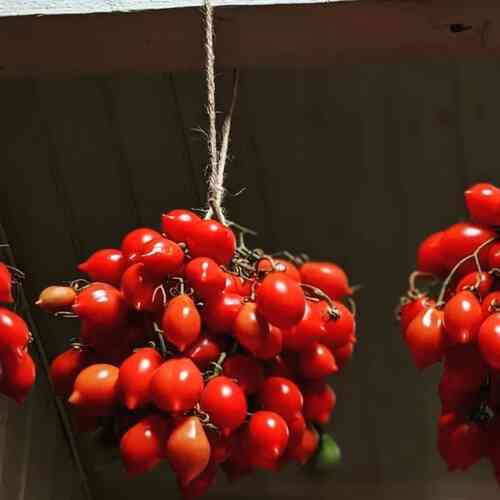 Plommontomat Kenneth’s Piennolo