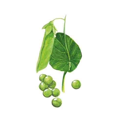 Märgärt 'Mors Stora'