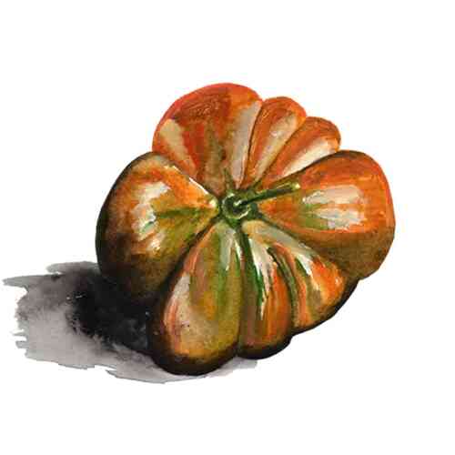 Bifftomat 'Uluru Ochre'