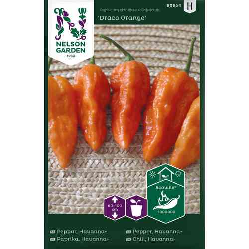 Havannapeppar 'Draco Orange'