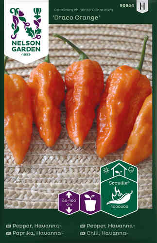 Havannapaprika 'Draco Orange'