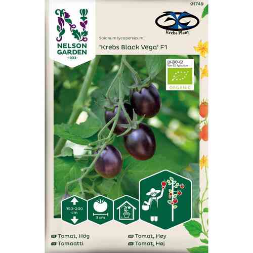 EKO Tomat Krebs 'Black Vega'