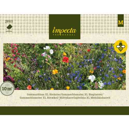 Kukkasekoitus XL Mehiläiskasvit
