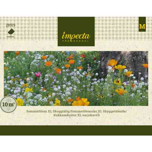 Kukkasekoitus XL Varjokasvit