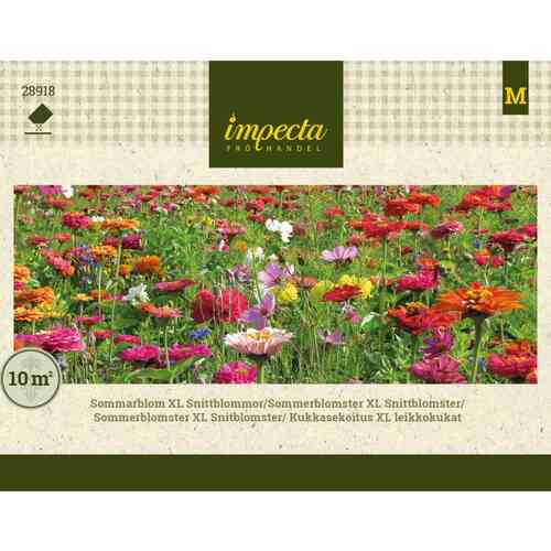 Kukkasekoitus XL Leikkokukat