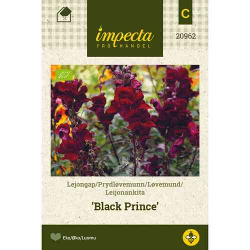 EKO Lejongap 'Black Prince'