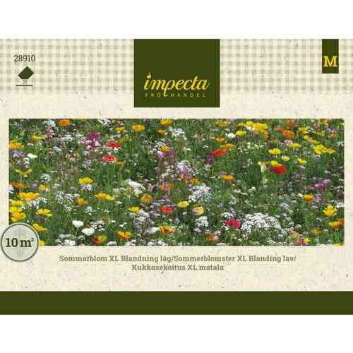 Sommarblom XL Blandning Låg