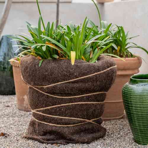 Talvisuoja villa 150x50cm 