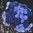 Purpurhortensia 'Veerle'