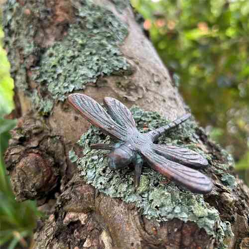 Trollslända antik mässing