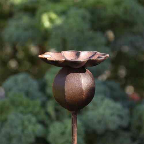 Dekoration Vallmokapsel