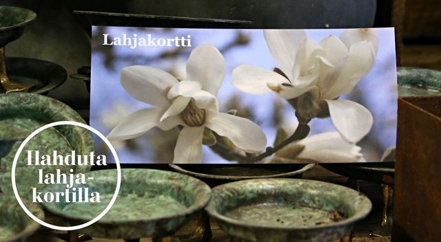 MuPu-lahjakortti640x352